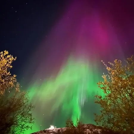 Lägenhet Cozy And Inviting In *